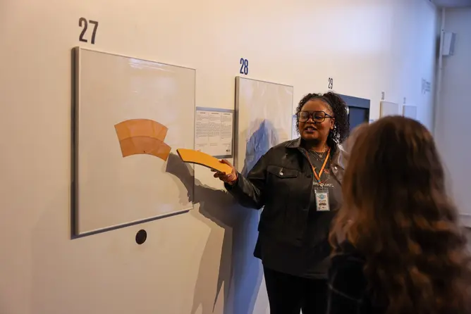 jastrow illusion 12 (1) 2